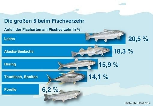 1,15 Millionen Tonnen Fisch und Fischereierzeugnisse wurden im Jahr 2015 in Deutschland gegessen; das sind 14,1 kg (Fanggewicht) pro Einwohner.