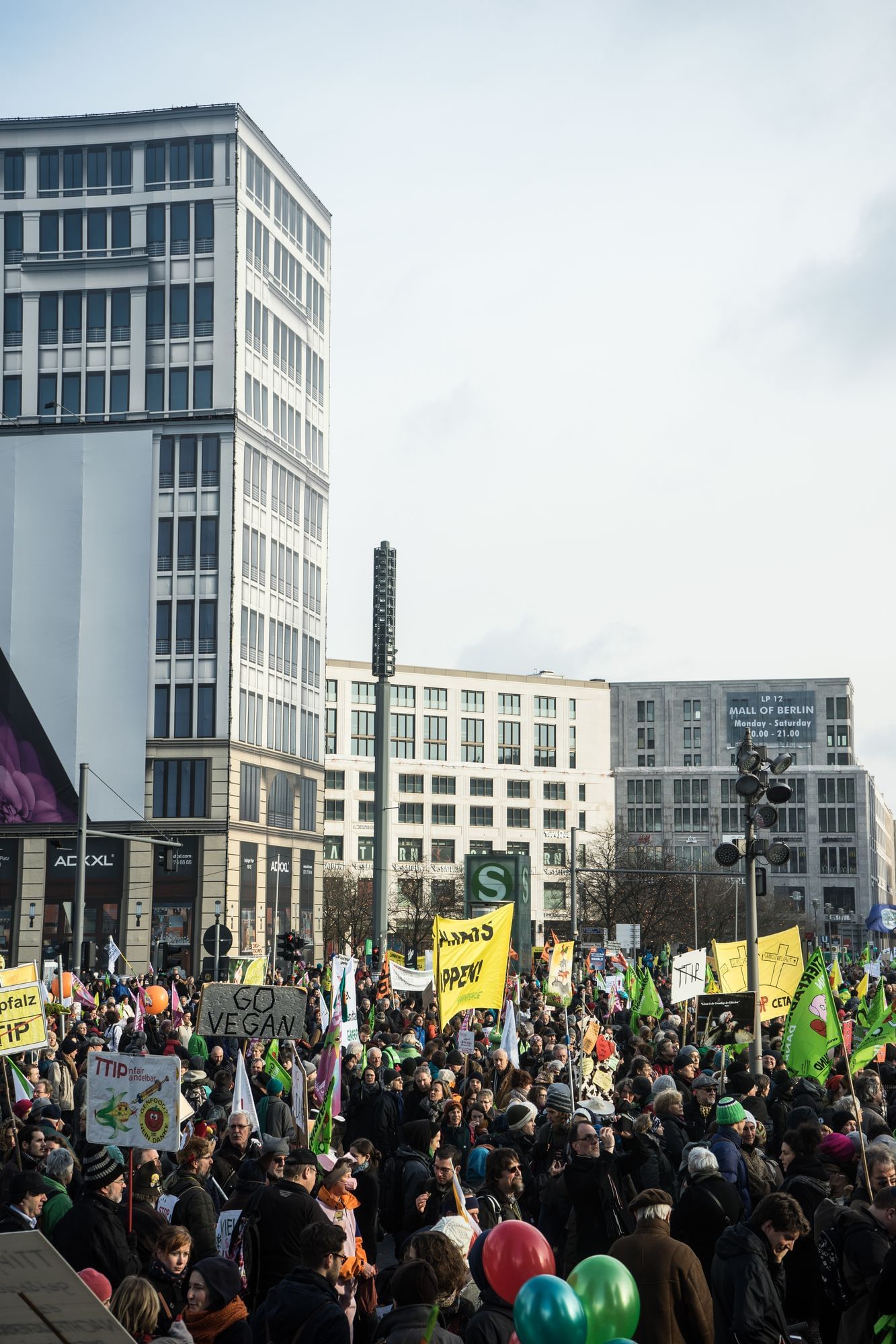 Demonstration "Wir-haben-es-satt" im Januar 2015 in Berlin. Die Anti-TTIP-Bewegung besteht aus vielen kleinen Teilen. Eines davon ist die ökologische Linke.