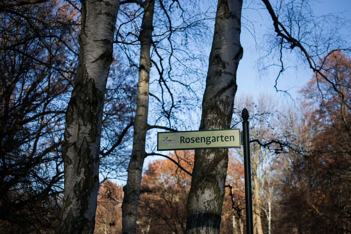 Alles so schön idyllisch hier: Der Berliner Tiergarten im Wintersonnenlicht.