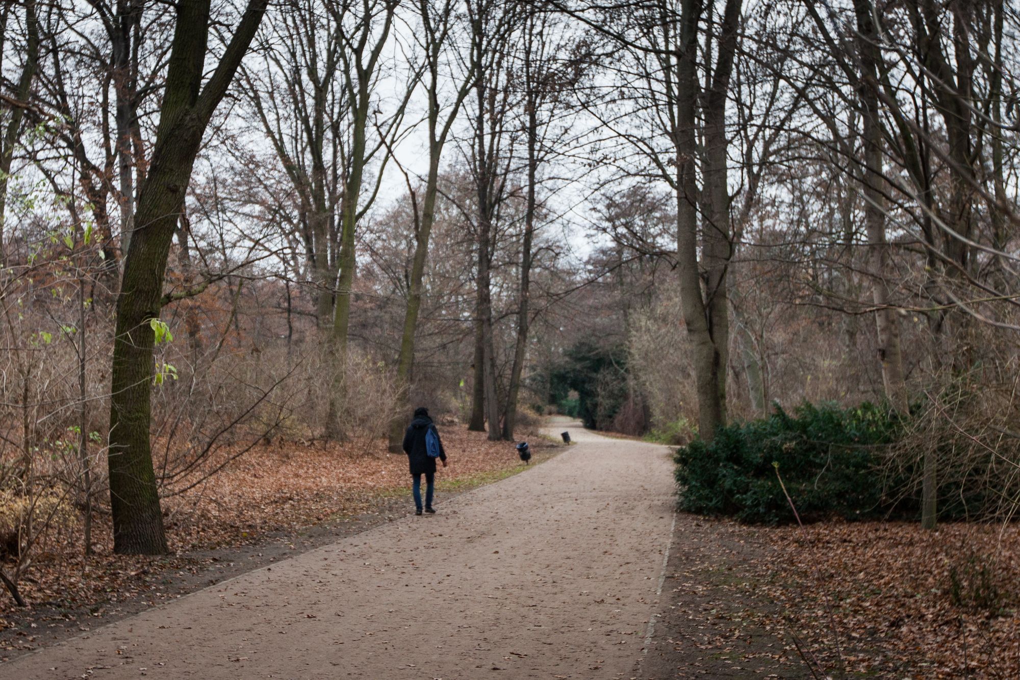 Fahrim sagt, er spaziere tagsüber durch den Park und ganz Berlin. Fast jedes Mal, wenn wir ihn antreffen, ist er in Bewegung.