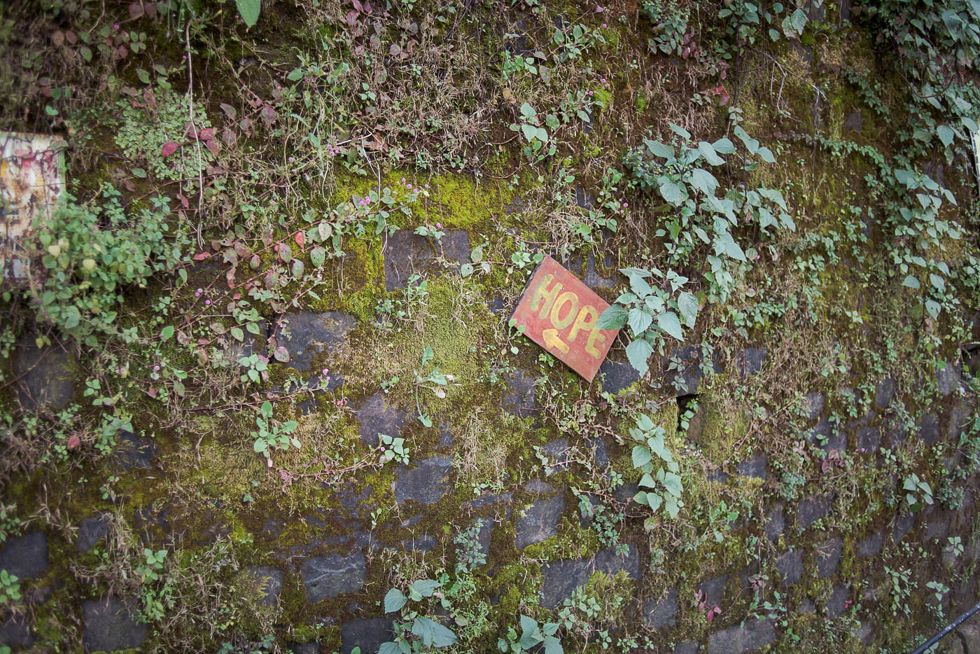 Ein Zeichen der Hoffnung in Upper Dharamsala, Indien.