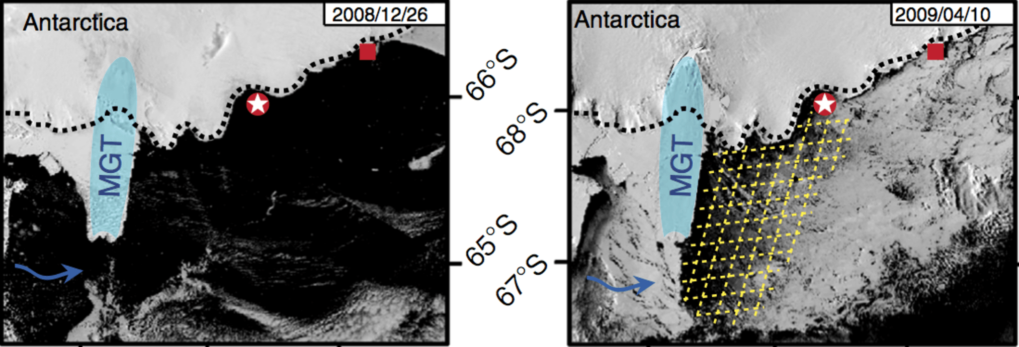 Die Gletscherzunge (blau) im Sommer und Winter. Die Polynya ist gelb unterlegt. Campagne et al.