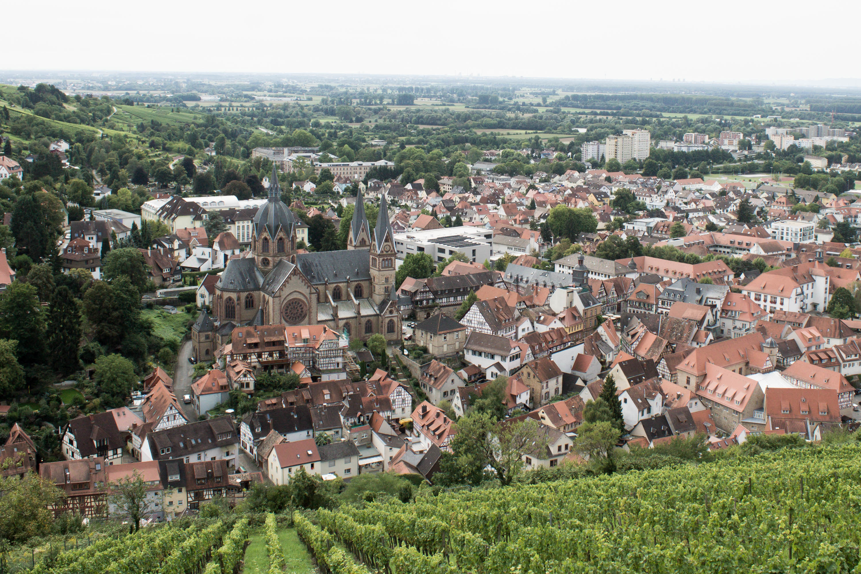 Blick auf Heppenheim von der Starkenburg.