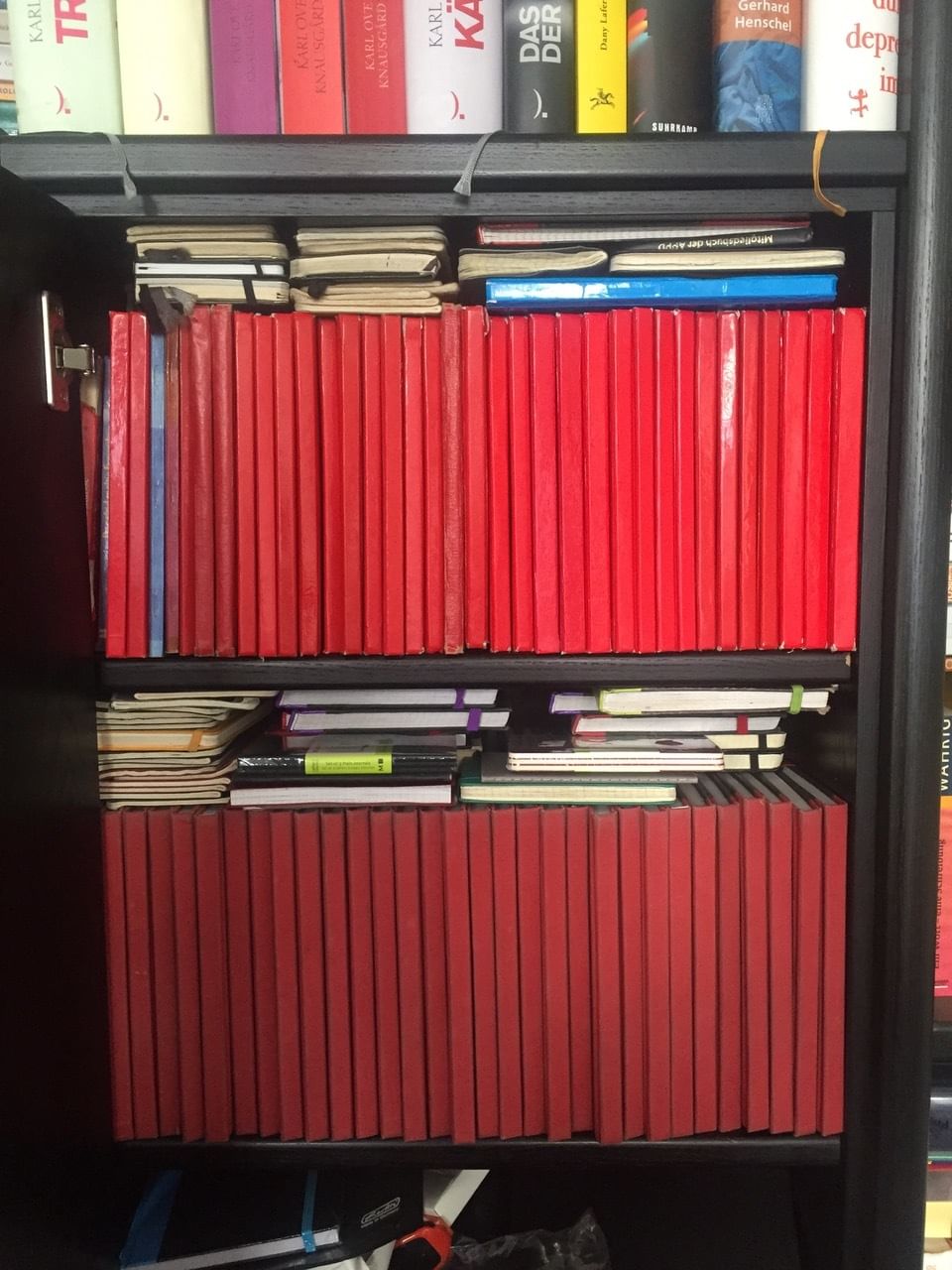 Der Tagebücherschrank des Autors.
