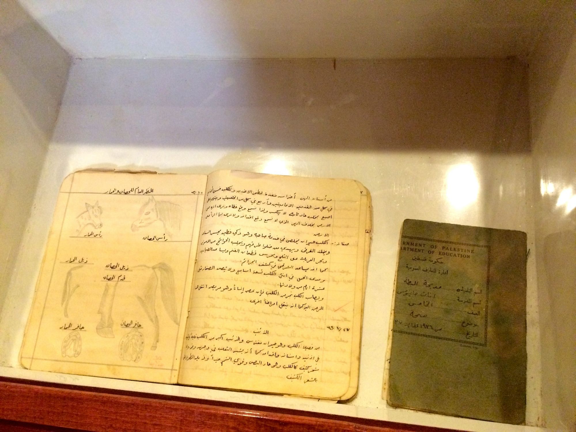 Das Tagebuch des Mädchens