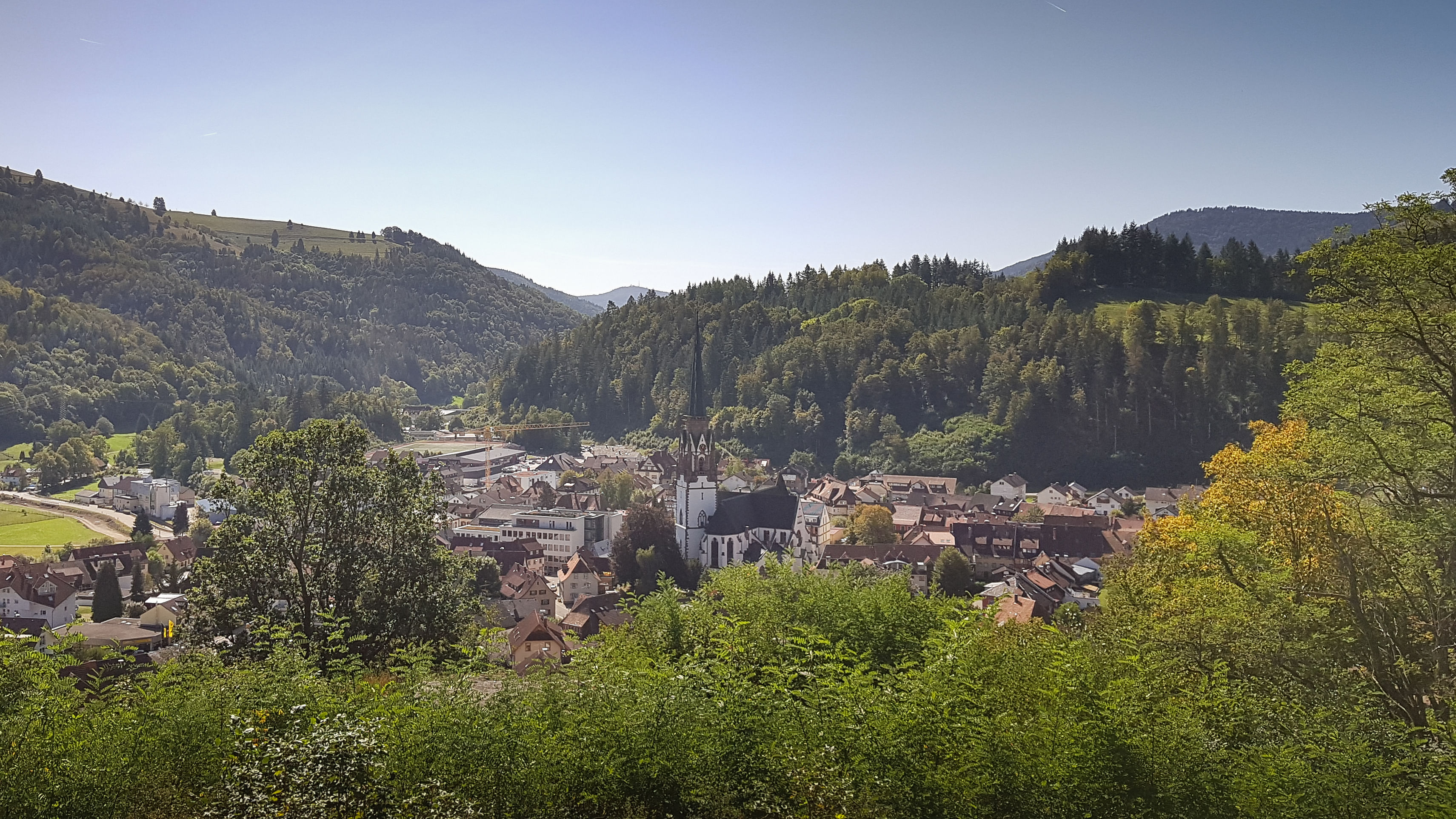 Blick auf Schönau im Schwarzwald