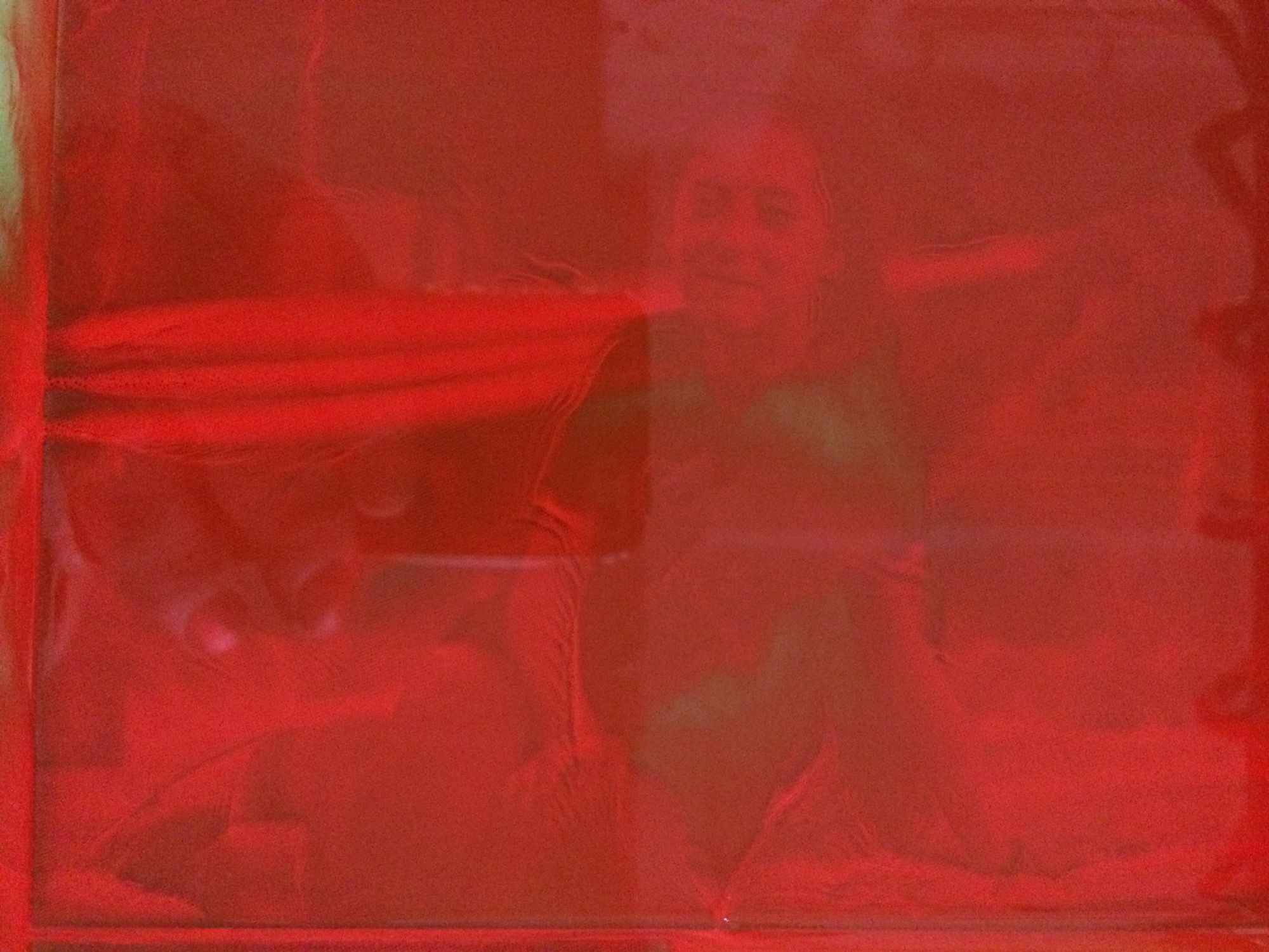 So sehen die mit Farbe bedeckten Fotos auf der Druckvorlage aus.