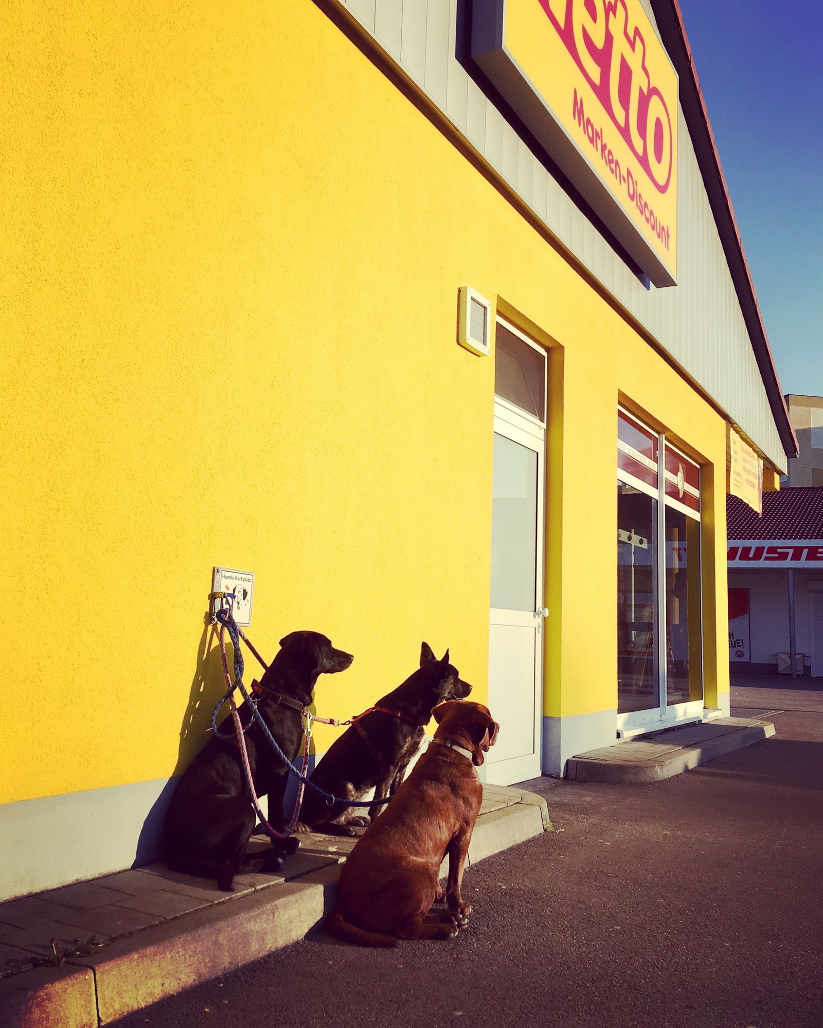 Hat hier jemand Bolognese gesagt?