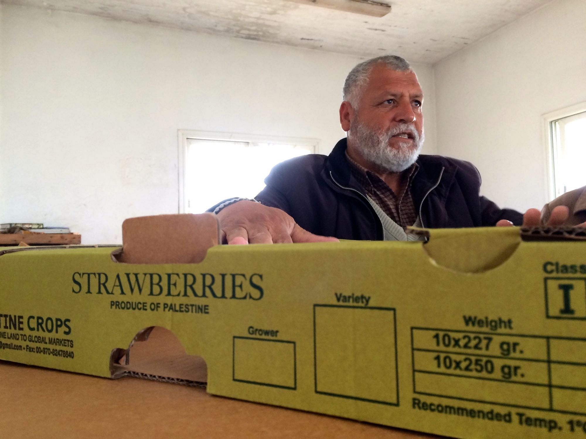 Ahmad Filfil in seinem Schuppen. Dort stehen die Kartons zum Export der Erdbeeren bereit.