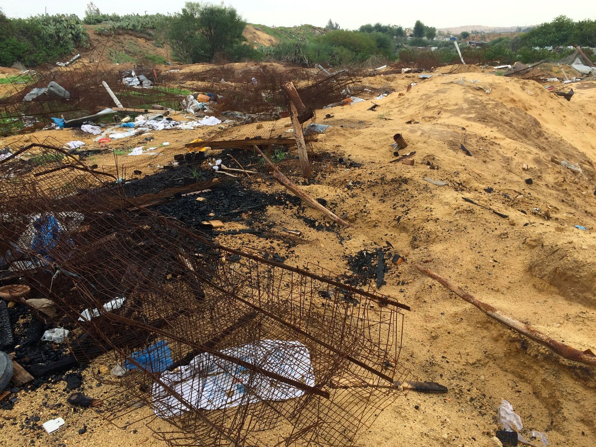 Die Überbleibsel einer Geflügelfarm in Beit Lahiya. Zwei F-16-Bomben fielen im Krieg auf den Betrieb.  