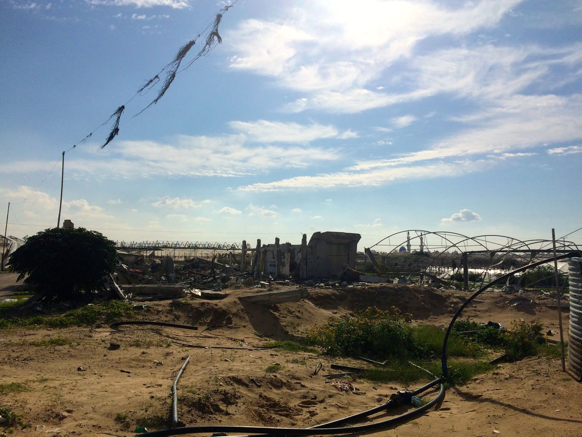 Felder in Rafah, die im Krieg zerstört wurden