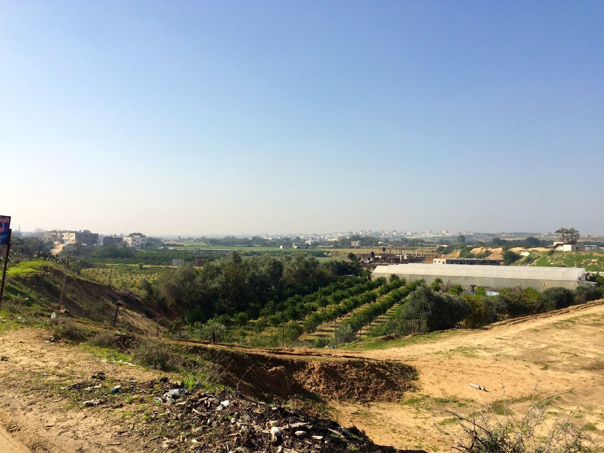 Eine Orangenplantage in Beit Lahiya 