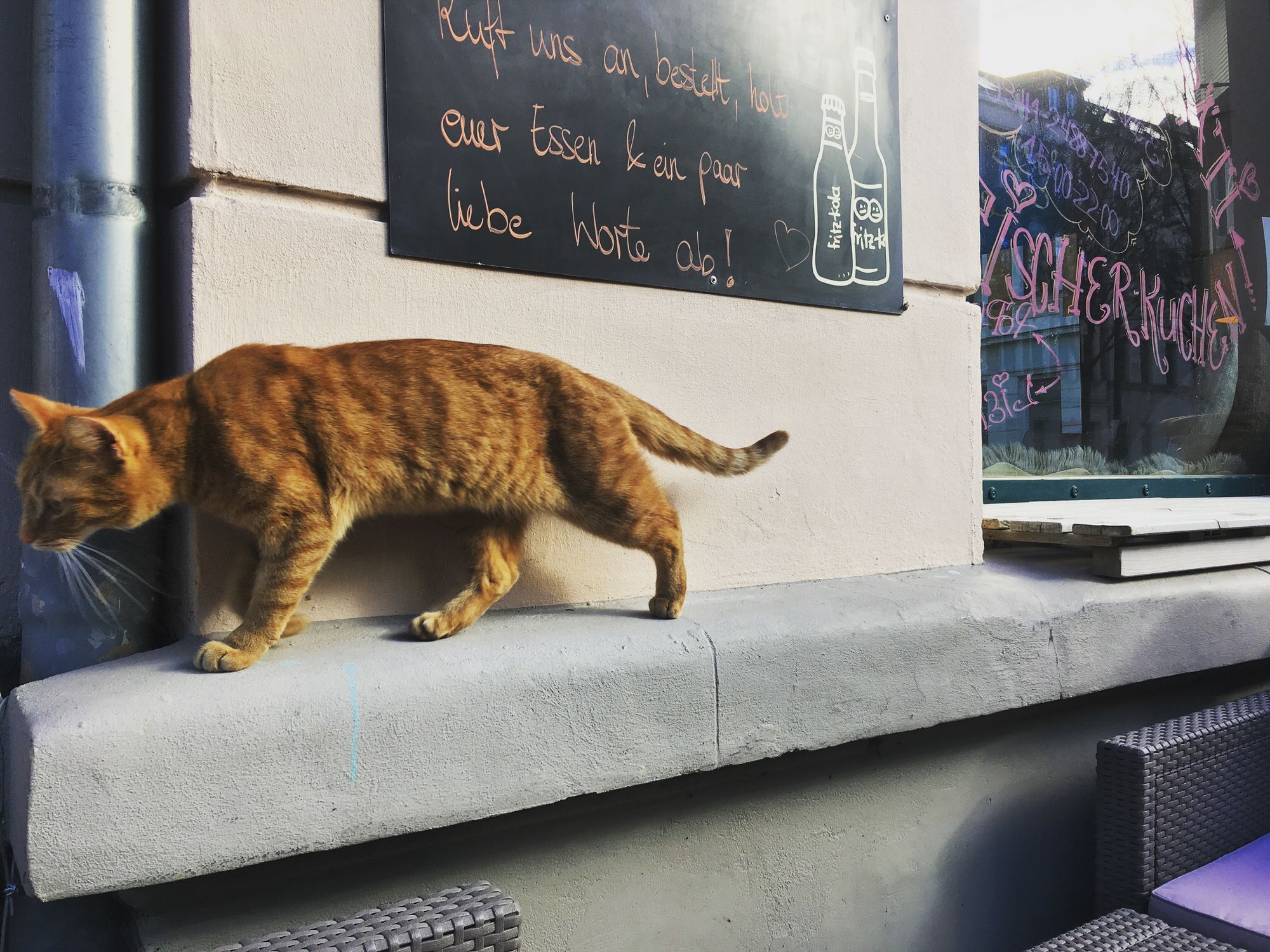 Auf der Suche nach Nahrung 