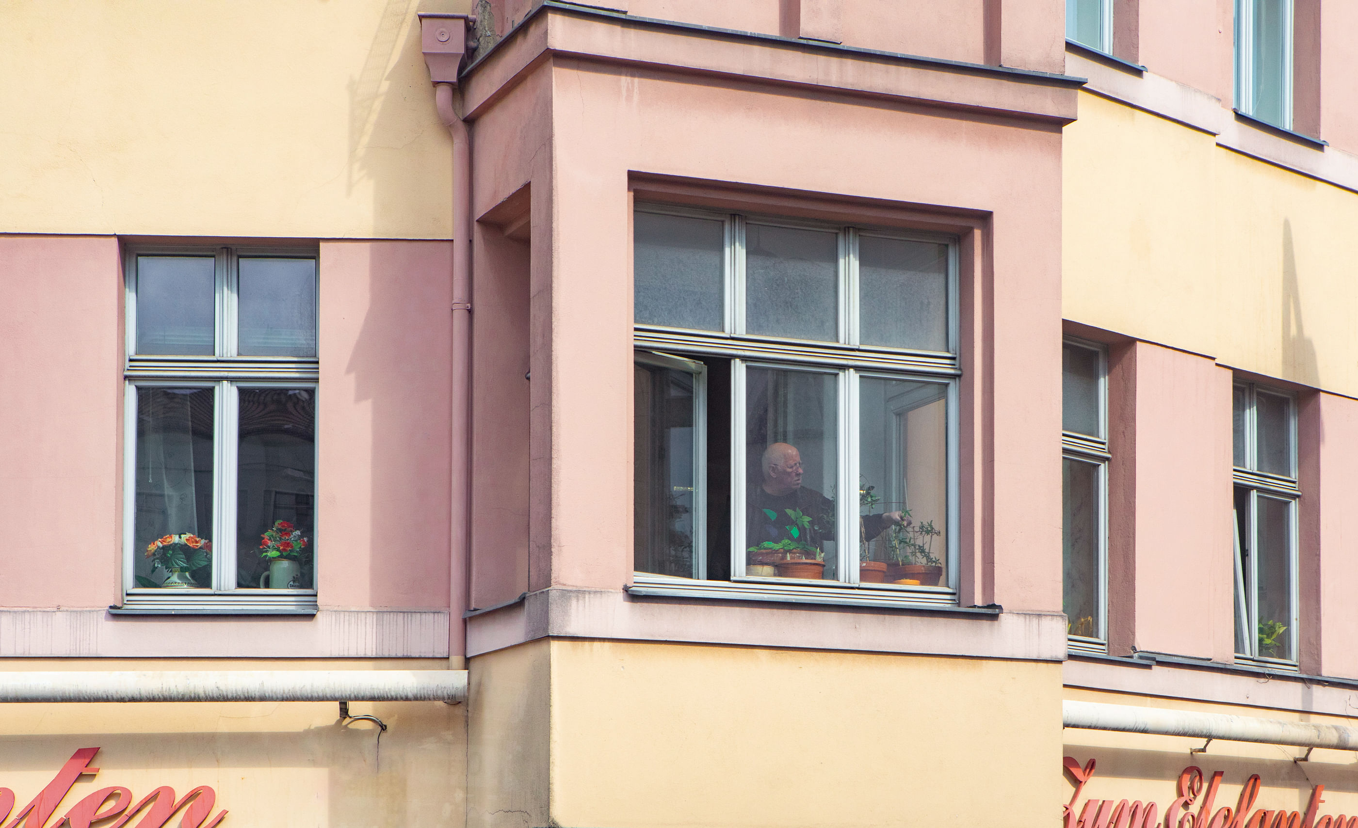 Ein Mann kümmert sich hinter einem großen Fenster um seine Blumen.