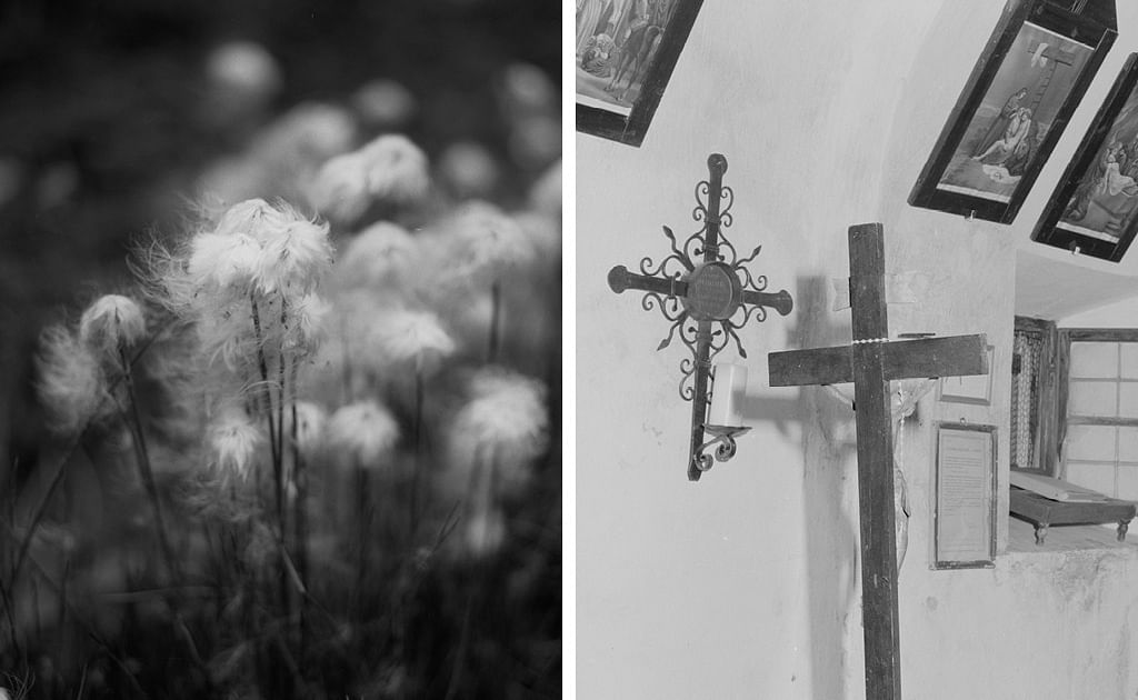 Vertikaler Dyptich, schwarz weiß; links- Pusteblumen; rechts- Kreuze in einem Andachtsraum
