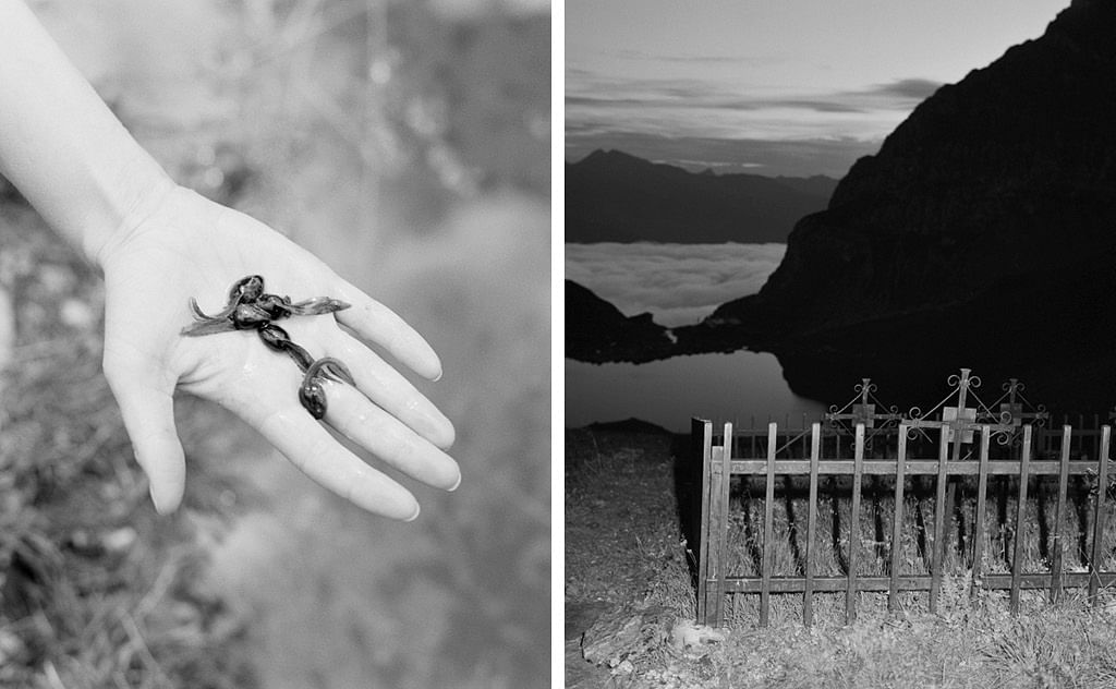 Vertikaler Diptych, schwarz weiß; links- eine Hand hält kleine Früchte, Beeren oder Oliven ähnelten, in der Hand; rechts- Landschaft, vorne drei eingezäunte Kreuze, mittig ein spiegelnder See mit Bergmassiv, in der Ferne Bergmassiv, Wolkenmeer und freier Himmel.