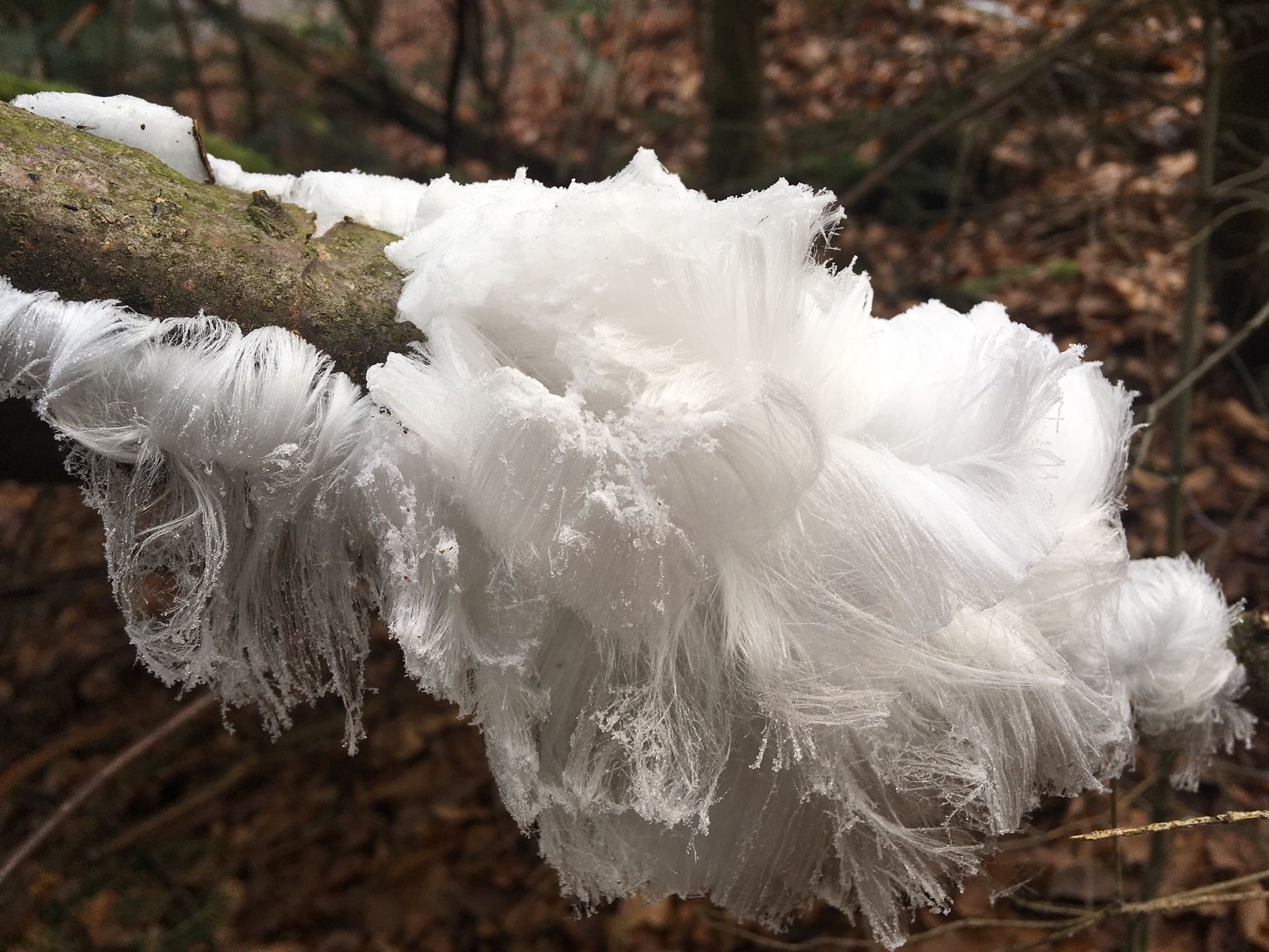 Eiskristalle bilden eine amorphe Form.