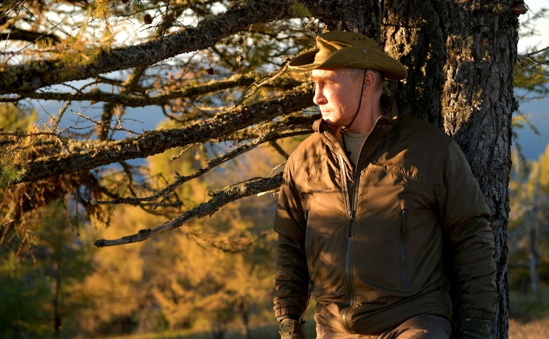 Vladimir Putin trägt Outdoorkleidung und lehnt an einem Baum, lasziv in die Sonne schauend