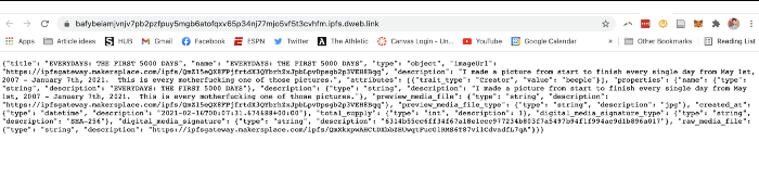 Screenshot der Metadaten des JPEGs