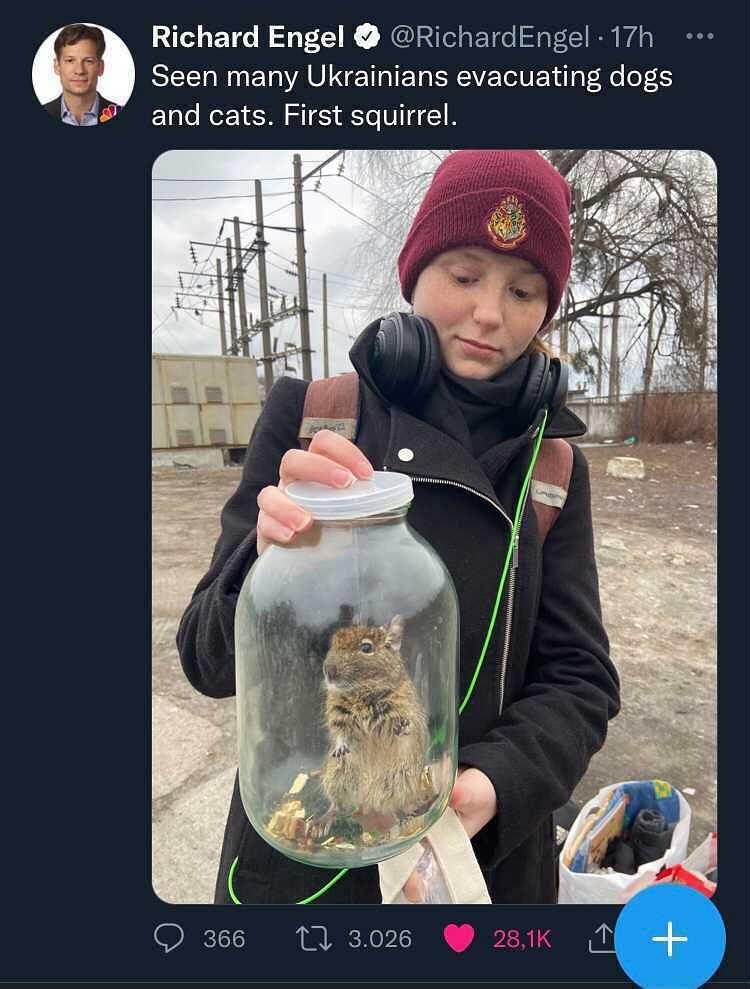HIer sieht man ein etwa zehnjähriges Mädchen, das ein Eichhörnchen in ein Einmachglas gesteckt hat, um es mit auf die Flucht zu nehmen.
