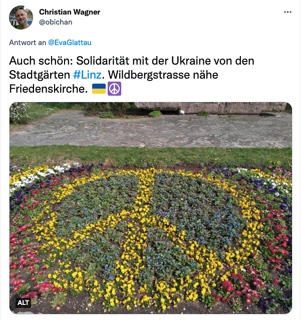 Ein Screenshot von Twitter, darauf ein Blumenbeet, mit blau-gelben Blumen in Peacezeichen-Form gepflanzt.