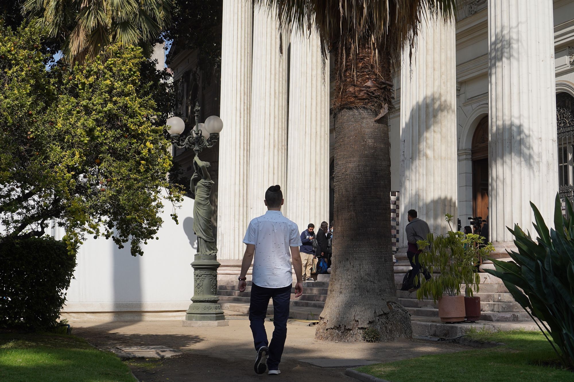 Ein junger Mann geht in ein Gebäude mit weißen Säulen. Die Sonne scheint und rechts und links stehen Pflanzen.