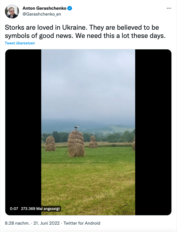 Auf dem Screenshot ist der Ausschnitt eines Videos zu sehen, auf dem Störche auf Heuballen auf einer Wiese in der Ukraine landen.