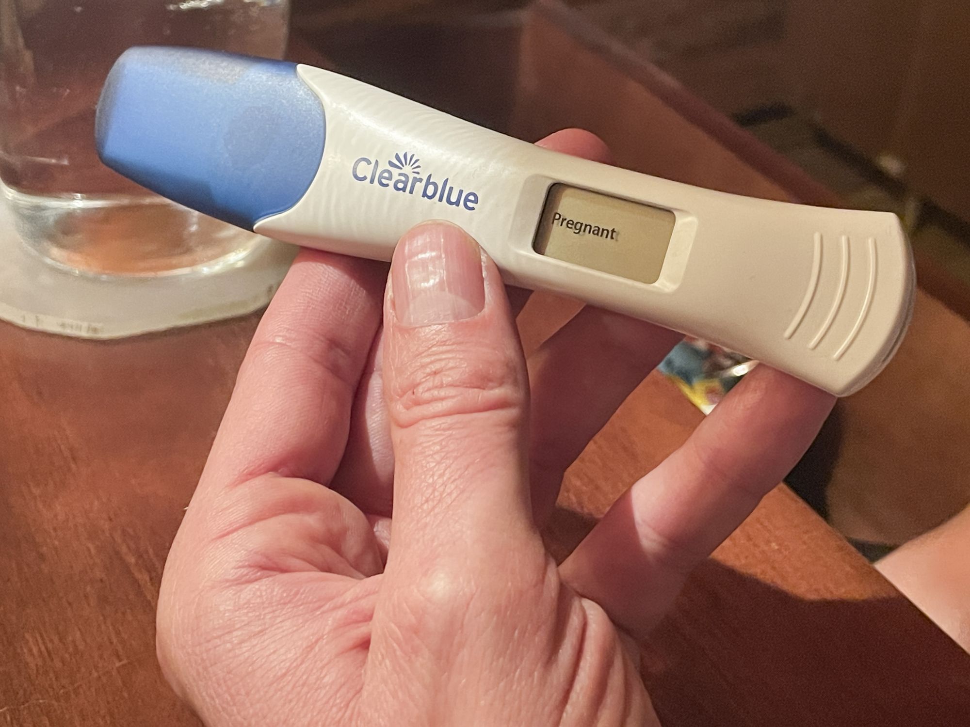 Eine Hand hält einen Schwangerschaftstest in die Kamera. Das wort "pregnant" (schwanger) ist darauf zu lesen.