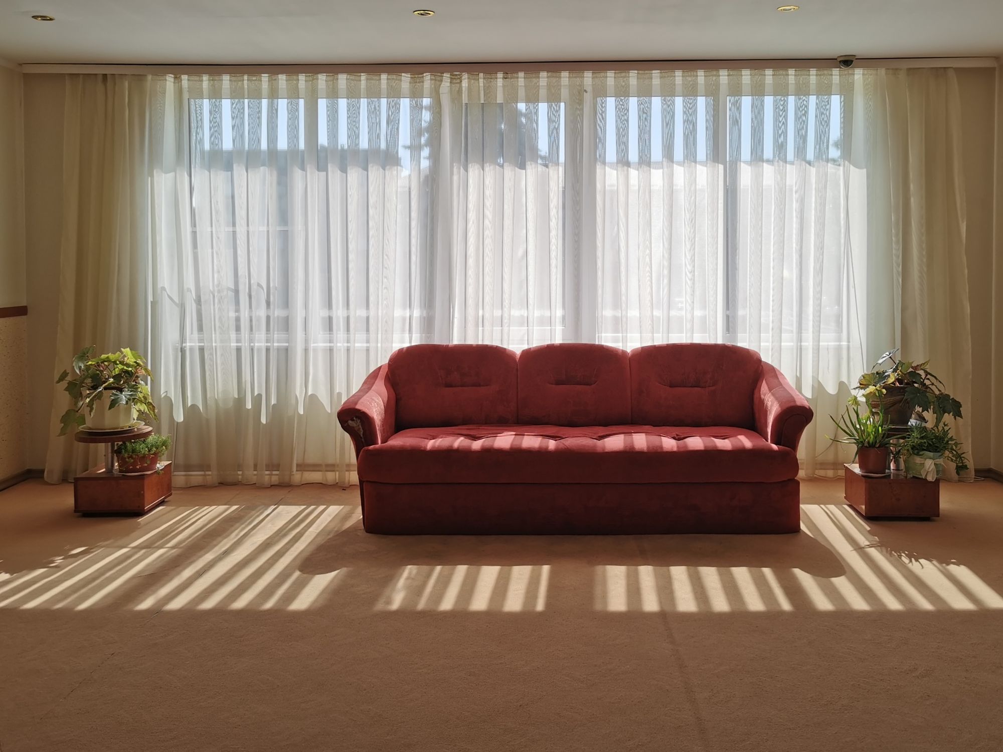 Ein rotes Sofa steht in einem leeren Raum. Links und rechts steht je eine Topfpflanze. Licht fällt durch die Fenster hinter dem Sofa in den Raum.