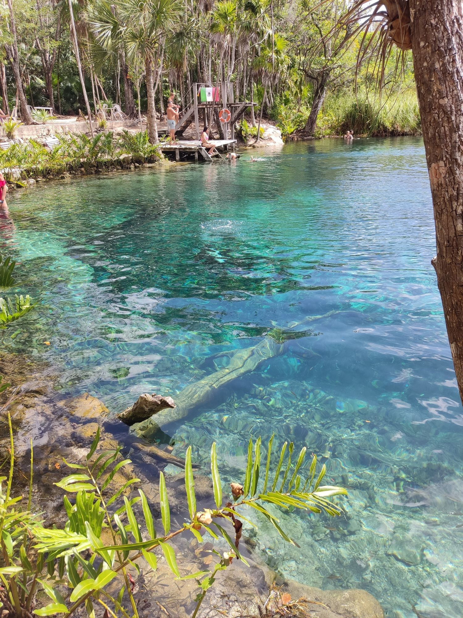 Anna und ein paar Kinder auf einem Steg am Wasser