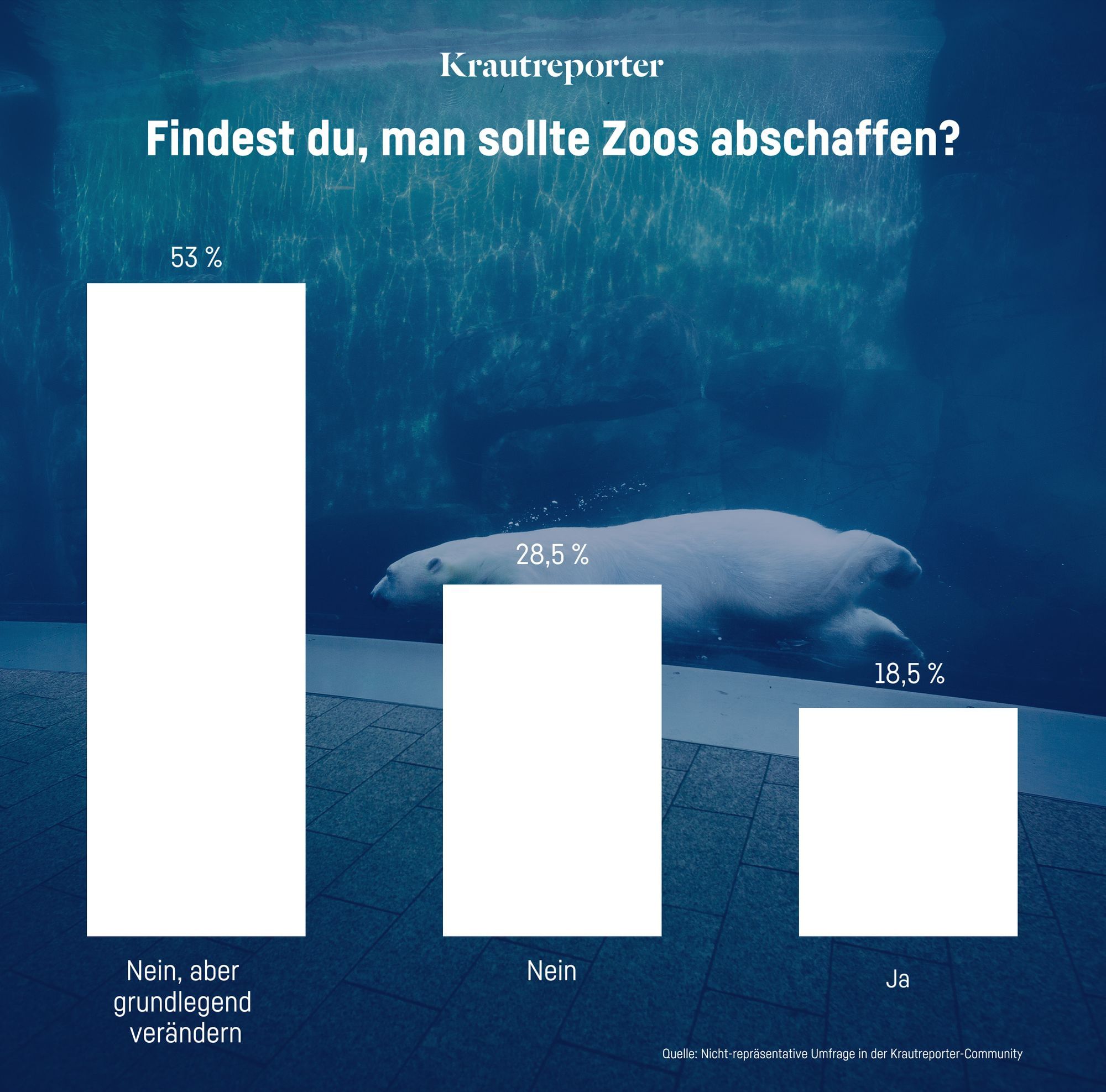 Die Ergebnisse der Umfrage zu der Frage: Findest du, man sollte Zoos abschaffen? 53 % sagen „Nein, aber grundlegend verbessern“, 28,5 % sagen „Nein“ und 18,5 % „Ja“.