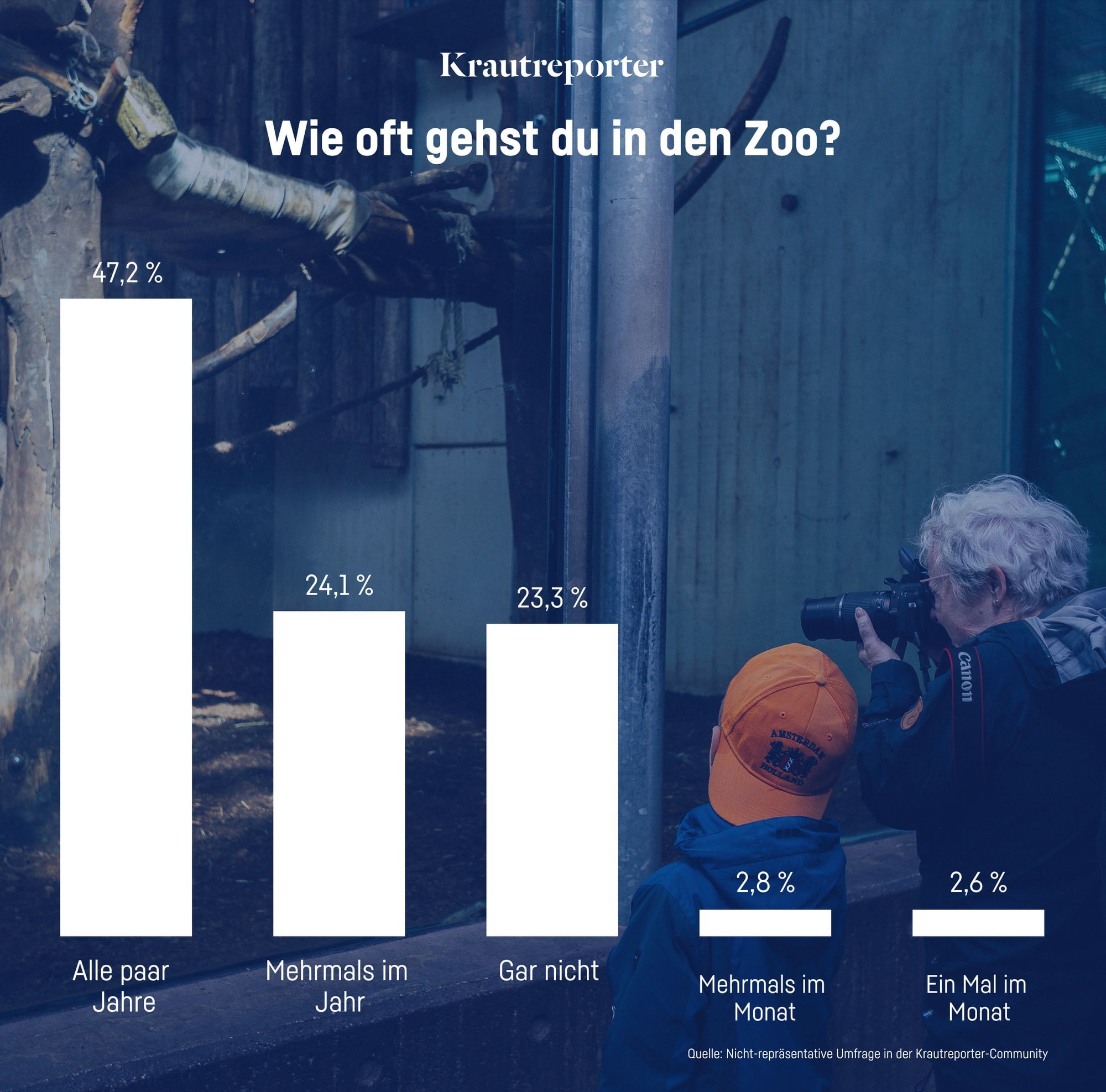 Die Ergebnisse der Umfrage: Wie oft gehst du in den Zoo? 47,2 % sagen alle paar Jahre, 24,1 % mehrmals im Jahr, 23,3 % gar nicht, 2,8 % mehrmals im Monat und 2,6 % einmal im Monat.