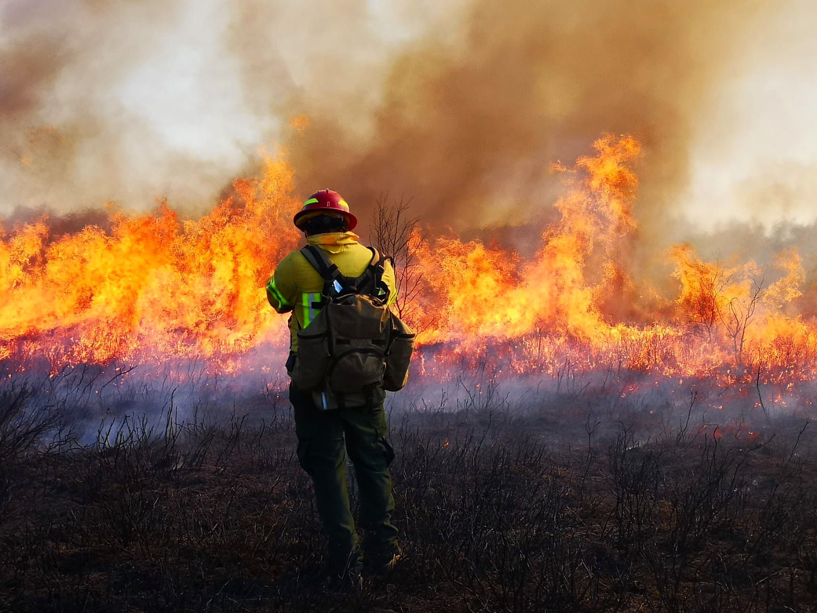 Der Brandexperte Lindon Pronto steht vor einem Feuer in der Drover Heide bei Bonn.