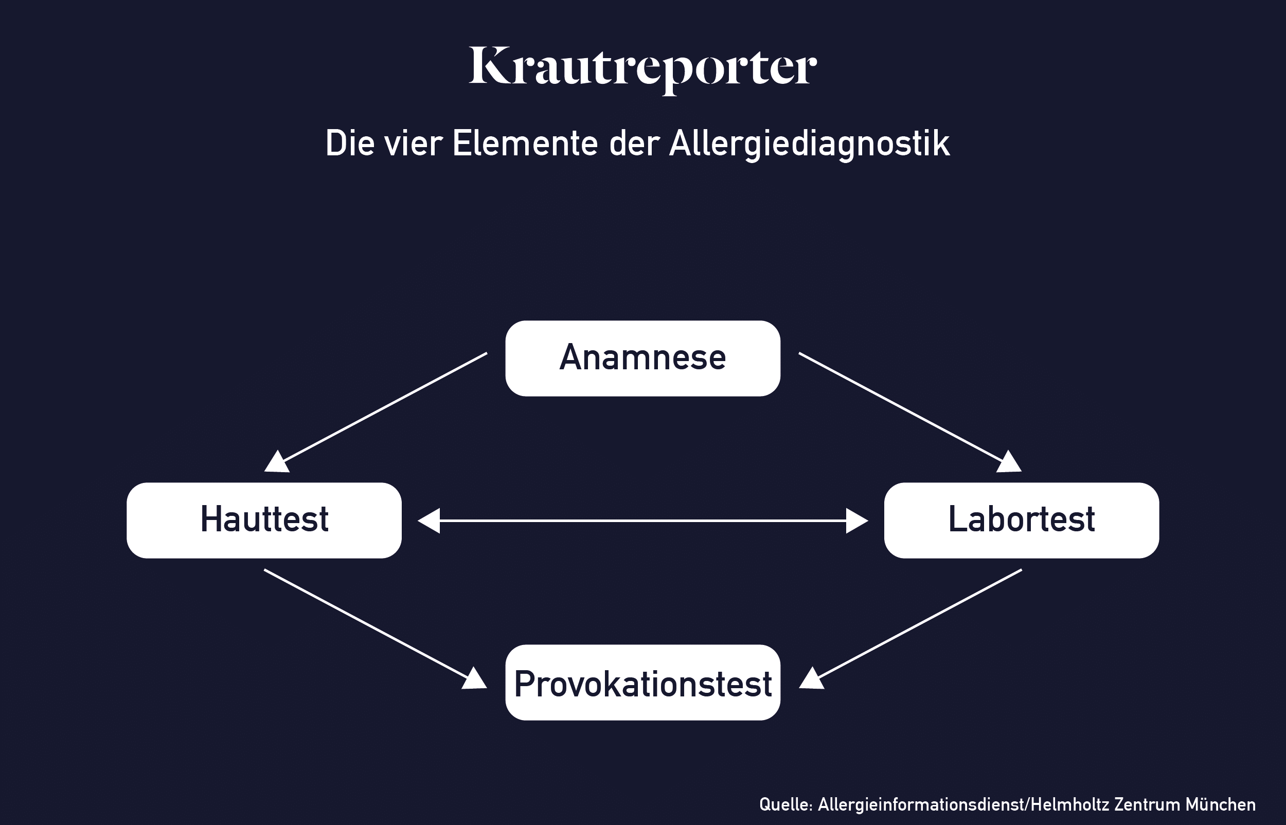Wir sehen ein Schaubild, dass die vier Elemente der Allergiediagnostik "Hauttest", "Anamnese", "Labortest", und "Provokationstest" zeigt und wie sie miteinander verbunden sind.