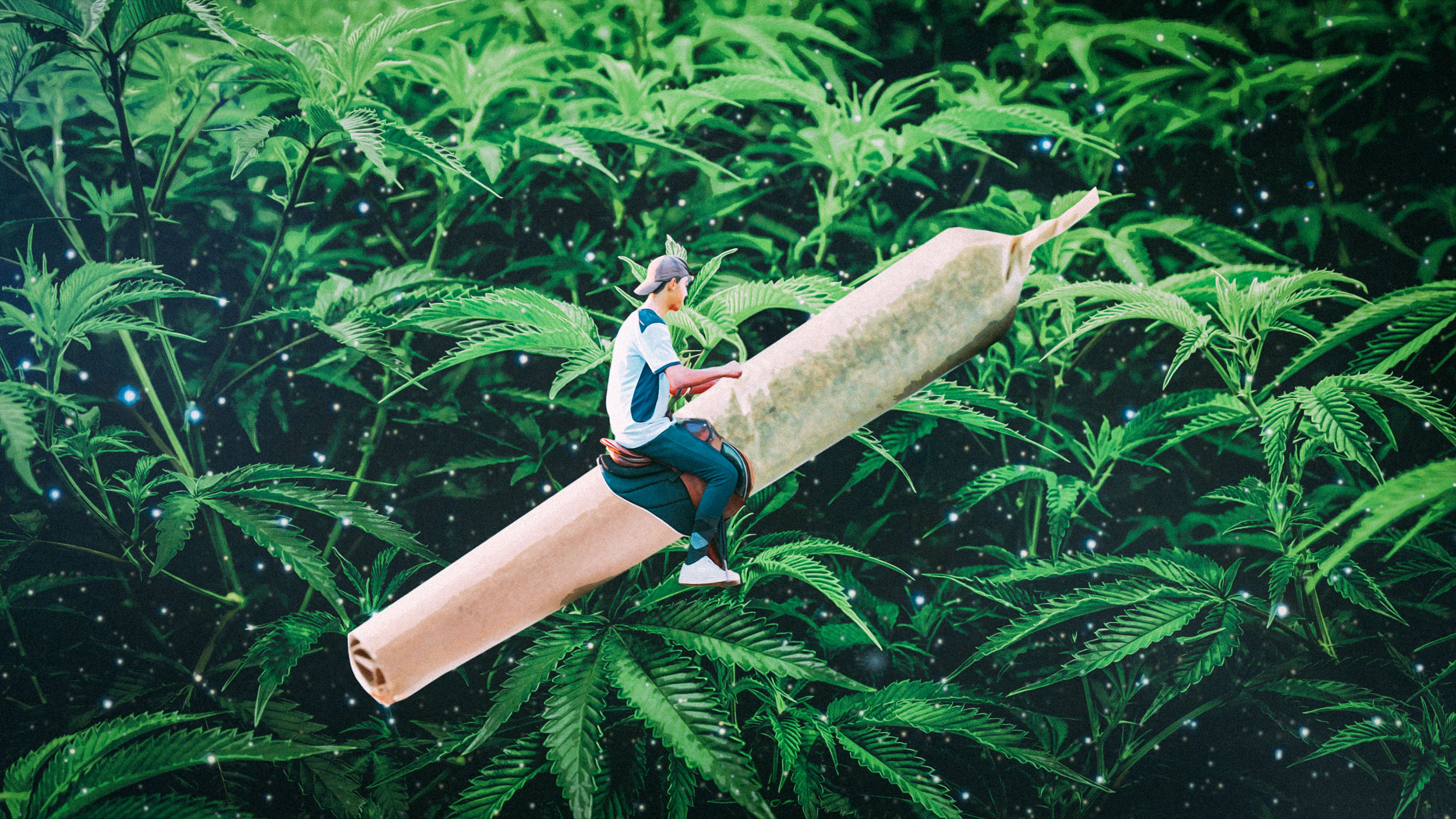 Im Hintergrund sind Cannabis-Pflanzen. Im Vordergrund reitet ein Teenager mit einem Sattel auf einem Joint.