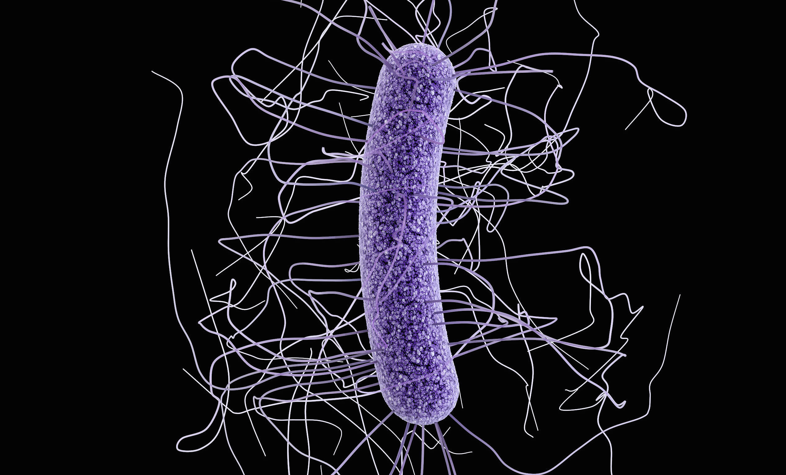 Clostridium difficile