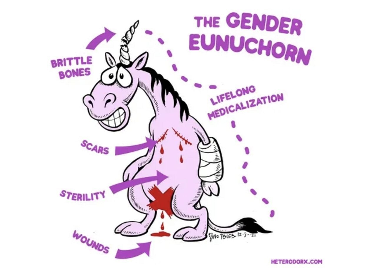 Die Zeichnung eines Einhorns, zwischen dessen Beinen Blut tropft. Dazu steht "The Gender Eunuchorn".