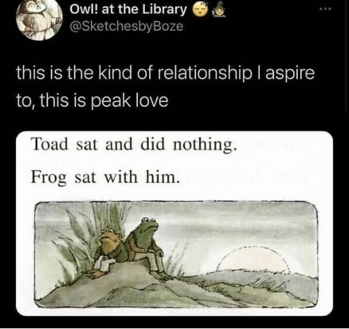 Screenshot von einem getwitterten Meme mit zwei Fröschen und dem Text "Toad sat and did nothing. Frog sat with him." Der Tweet wurde mit dem Satz "this is the kind of relationship I aspire to, this is peak love" überschrieben.