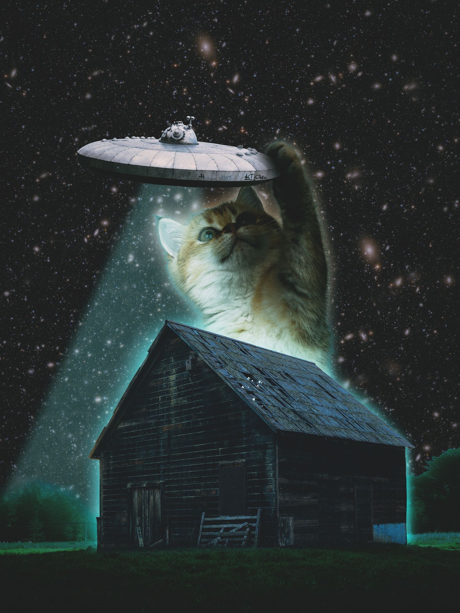 Fotomontage: Eine riesige Katze spielt mit einem Ufo, das über einer Holzhütte schwebt.