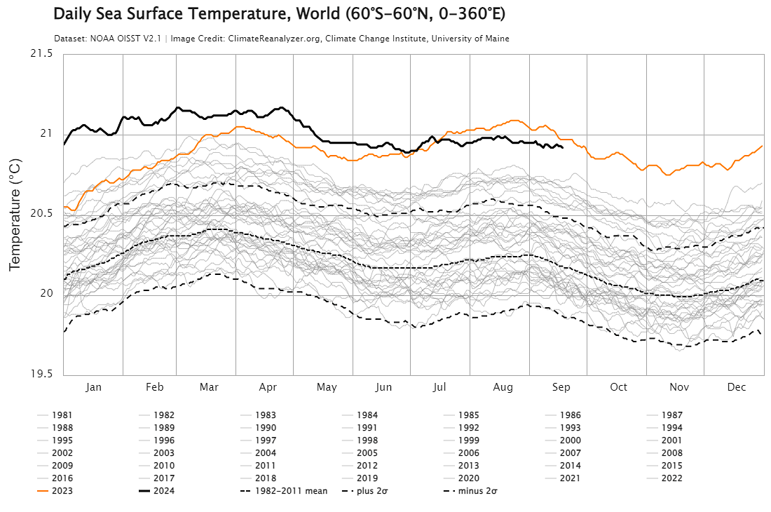 Das Diagramm zeigt die tägliche Meeresoberflächentemperatur weltweit (60°S–60°N) von Januar bis Dezember für die Jahre 1981–2024. Die orangefarbene Linie steht für 2023, die schwarze für 2024, beide zeigen deutlich höhere Temperaturen als die Vorjahre. Die gestrichelte Linie markiert den Durchschnitt von 1982–2011, mit weiteren gestrichelten Linien für zwei Standardabweichungen darüber und darunter. Das Diagramm verdeutlicht einen klaren Erwärmungstrend der Meeresoberflächentemperaturen in den Jahren 2023 und 2024.