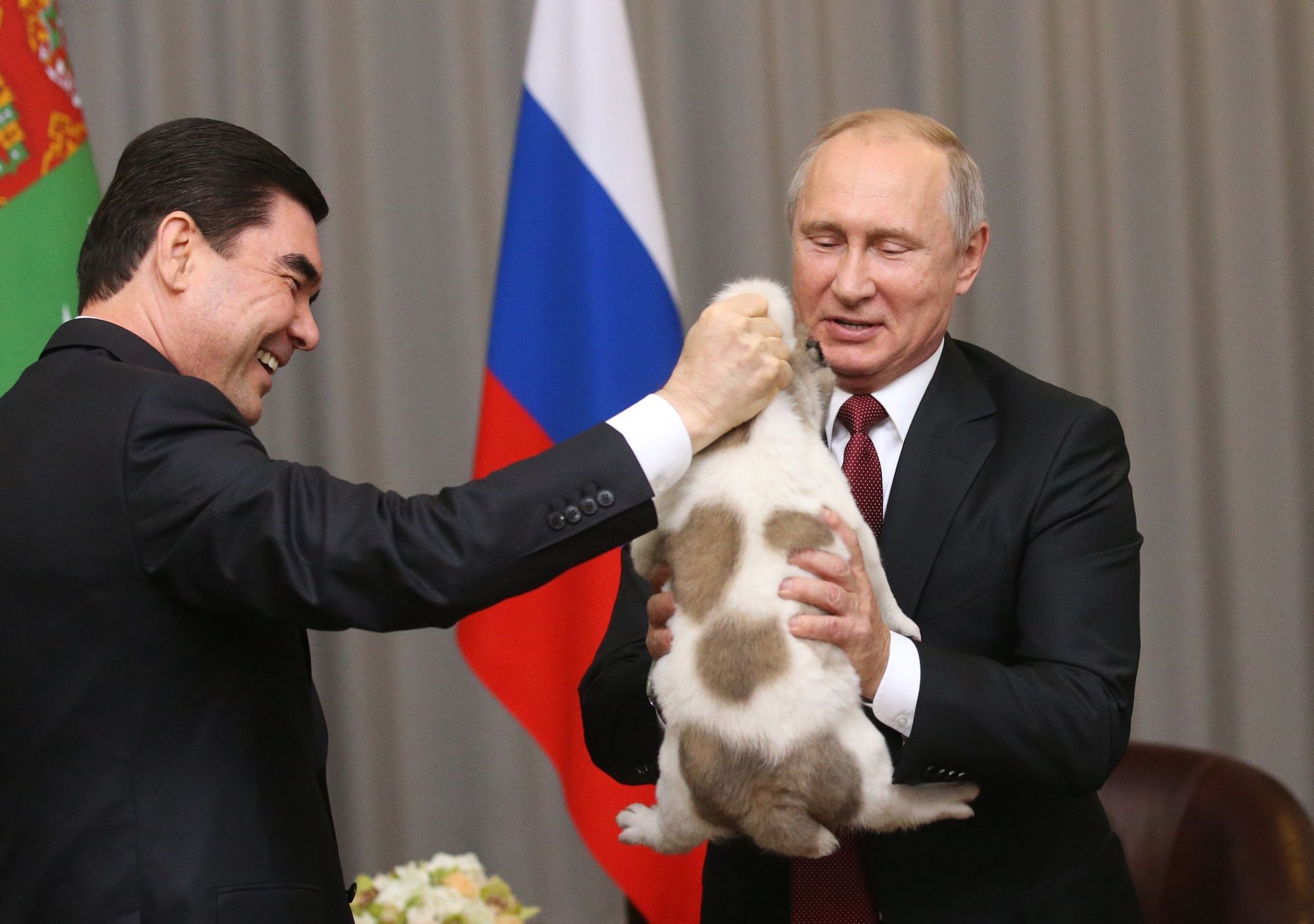 Der Präsident von Turkmenistan, Gurbanguly Berdimuhamedow, schenkt Putin einen Welpen mit dem Namen „vernyj“.