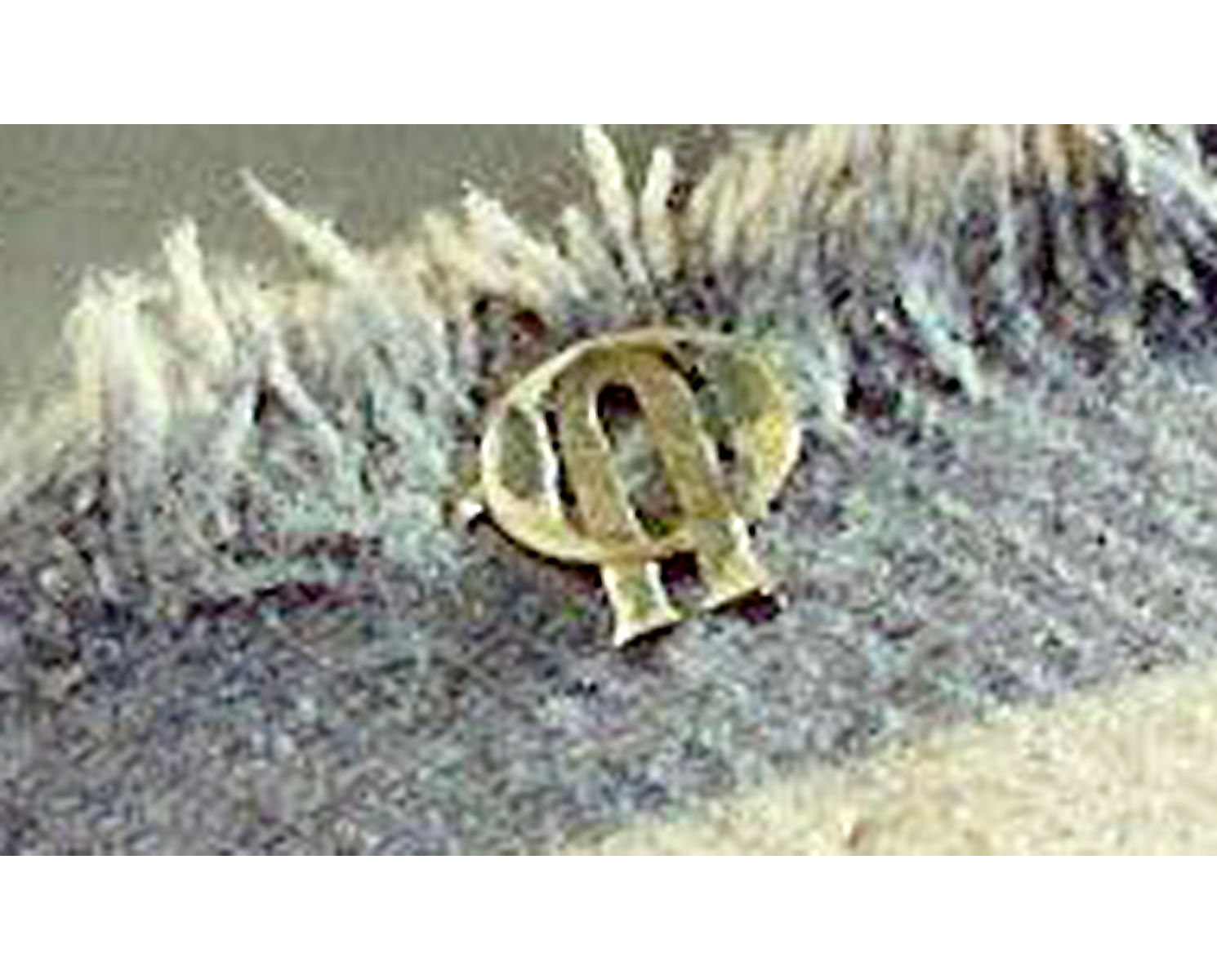 Was bedeutet dieses Emblem? Hinweise entweder als Kommentar oder an fs@krautreporter.de