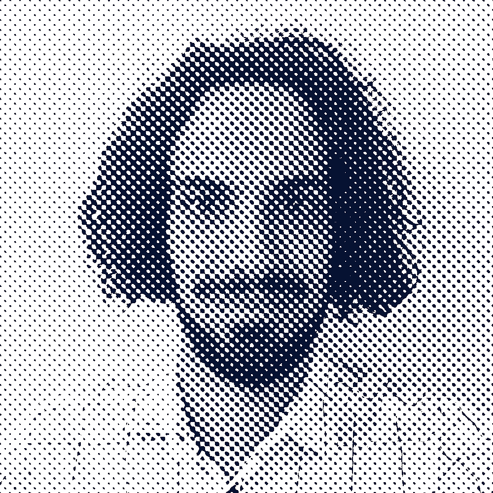 Profilbild von Finn Gessert