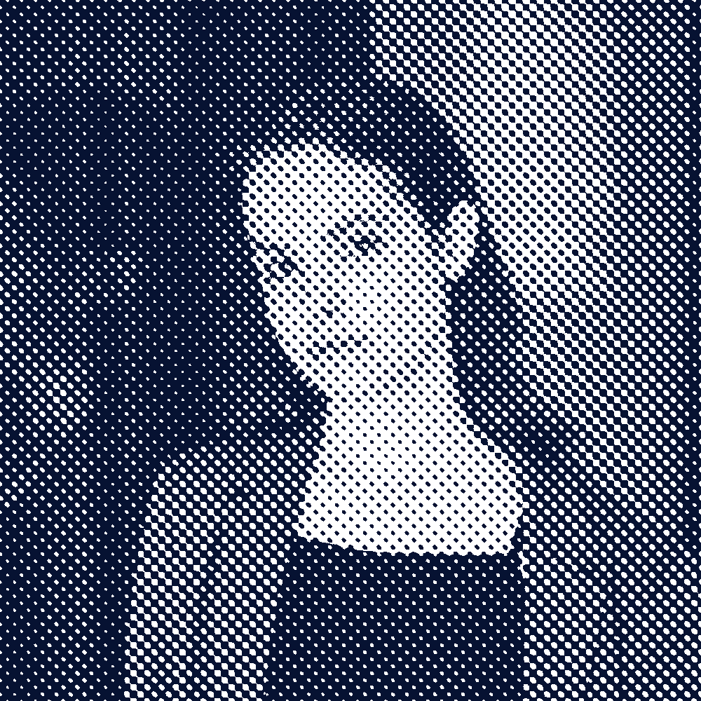 Profilbild von Alma Jung